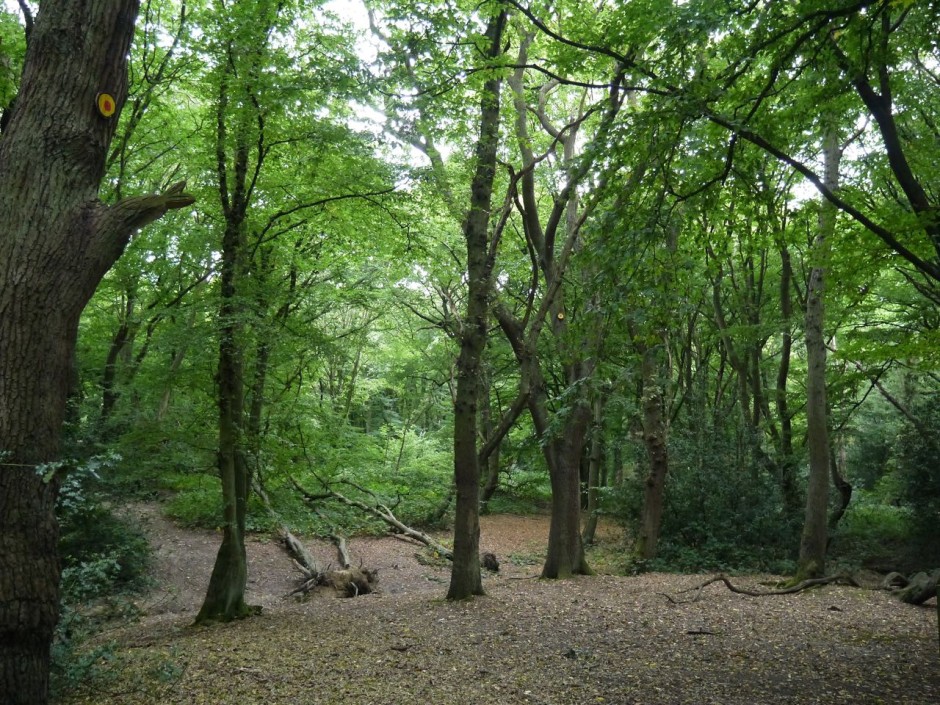 hainault forest Archives - the lost byway